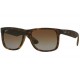 RAY BAN 4165S 865T5