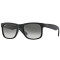 RAY BAN 4165S 6018G