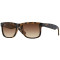 RAY BAN 4165S 71013