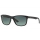 RAY BAN 4181S 60171