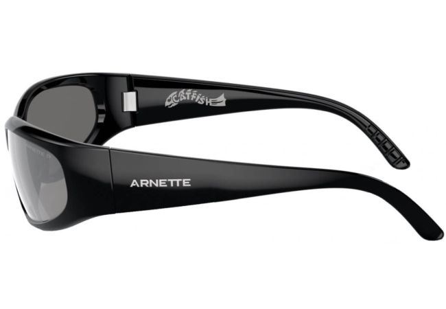 ARNETTE 4302 2900Z3