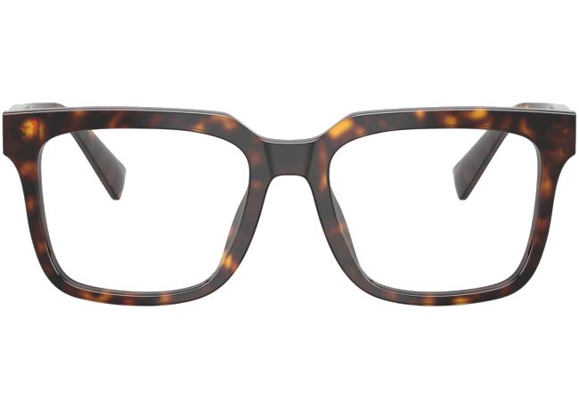 DOLCE & GABBANA DG3422 502 DOLCE & GABBANA DG3422 502