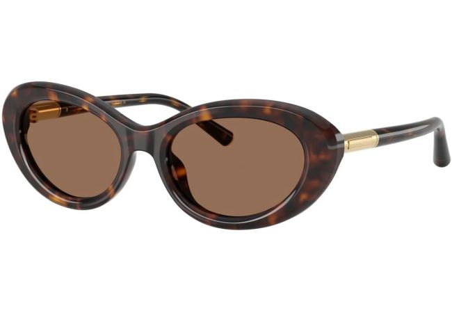 DOLCE & GABBANA DG4519 502/73