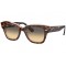 RAY BAN 2186S 1324BG