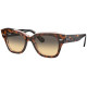 RAY BAN 2186S 1324BG