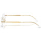 RAY BAN 3767V 2500