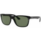 RAY BAN 4181 601