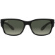 RAY BAN 4388 60171