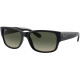 RAY BAN 4388 60171