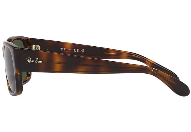 RAY BAN 4388 71031