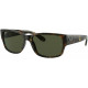 RAY BAN 4388 71031