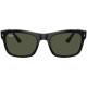 RAY BAN 4428 60131