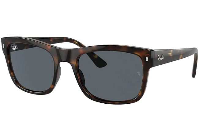 RAY BAN 4428 710R5