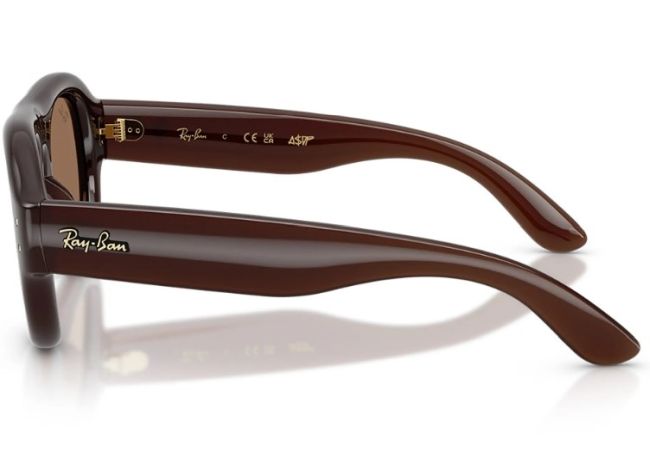 RAY BAN 4925 689673