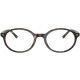 RAY BAN 5429 2012