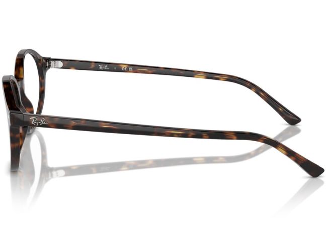 RAY BAN 5429 2012