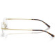 RAY BAN 8781D 1251