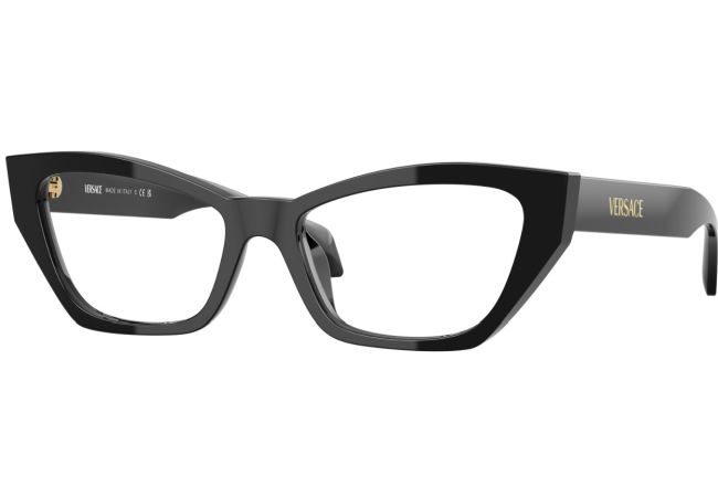 VERSACE 3373U GB1