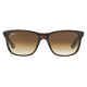 RAY BAN 4181S 71051