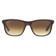 RAY BAN 4181S 71051